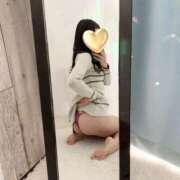 ヒメ日記 2025/11/25 12:50 投稿 みさき 大阪はまちゃん日本橋店