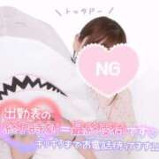 ヒメ日記 2024/12/11 11:30 投稿 るか 鹿児島ちゃんこ 薩摩川内店