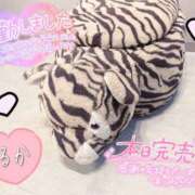 ヒメ日記 2024/12/15 01:46 投稿 るか 鹿児島ちゃんこ 薩摩川内店