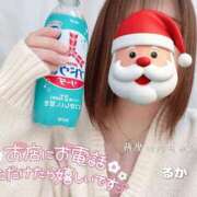 ヒメ日記 2024/12/19 15:42 投稿 るか 鹿児島ちゃんこ 薩摩川内店