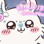 ヒメ日記 2024/12/19 19:32 投稿 るか 鹿児島ちゃんこ 薩摩川内店