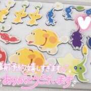 ヒメ日記 2024/12/19 19:40 投稿 るか 鹿児島ちゃんこ 薩摩川内店