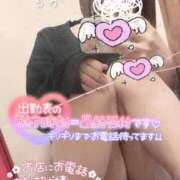 ヒメ日記 2024/12/20 10:44 投稿 るか 鹿児島ちゃんこ 薩摩川内店