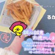 ヒメ日記 2024/12/20 16:36 投稿 るか 鹿児島ちゃんこ 薩摩川内店