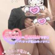 ヒメ日記 2024/12/26 13:51 投稿 るか 鹿児島ちゃんこ 薩摩川内店