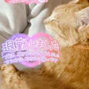 ヒメ日記 2025/02/10 00:14 投稿 るか 鹿児島ちゃんこ 薩摩川内店