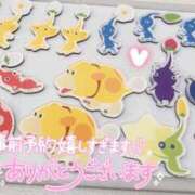 るか 幸せいっぱい🥰🌸🌸🫧 鹿児島ちゃんこ 薩摩川内店