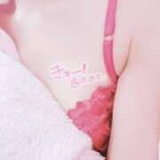 ヒメ日記 2025/01/10 14:13 投稿 りさ 子猫カフェ 小倉店