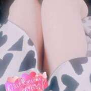 ヒメ日記 2025/01/14 14:47 投稿 りさ 子猫カフェ 小倉店