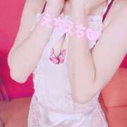 ヒメ日記 2025/01/15 15:56 投稿 りさ 子猫カフェ 小倉店