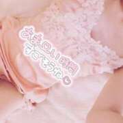 ヒメ日記 2025/01/17 10:24 投稿 りさ 子猫カフェ 小倉店