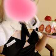 ヒメ日記 2025/02/13 20:08 投稿 りさ 子猫カフェ 小倉店