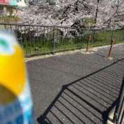 ヒメ日記 2025/04/11 14:00 投稿 片野（かたの） 熟女の風俗最終章 名古屋店