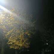 ヒメ日記 2024/12/20 23:06 投稿 後藤まりあ アラフォーna奥様 アラフィフna奥様（埼玉ハレ系）