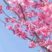 ヒメ日記 2025/03/20 21:16 投稿 後藤まりあ アラフォーna奥様 アラフィフna奥様（埼玉ハレ系）