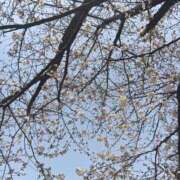 ヒメ日記 2025/03/27 13:44 投稿 後藤まりあ アラフォーna奥様 アラフィフna奥様（埼玉ハレ系）