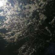 ヒメ日記 2025/03/28 22:15 投稿 後藤まりあ アラフォーna奥様 アラフィフna奥様（埼玉ハレ系）