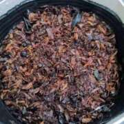 ヒメ日記 2025/05/02 17:24 投稿 後藤まりあ アラフォーna奥様 アラフィフna奥様（埼玉ハレ系）