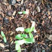 ヒメ日記 2025/05/10 16:12 投稿 後藤まりあ アラフォーna奥様 アラフィフna奥様（埼玉ハレ系）