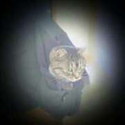 ヒメ日記 2025/07/04 14:57 投稿 後藤まりあ アラフォーna奥様 アラフィフna奥様（埼玉ハレ系）