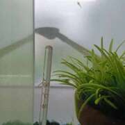 ヒメ日記 2025/10/01 15:47 投稿 後藤まりあ アラフォーna奥様 アラフィフna奥様（埼玉ハレ系）