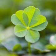 ヒメ日記 2025/10/17 15:35 投稿 後藤まりあ アラフォーna奥様 アラフィフna奥様（埼玉ハレ系）