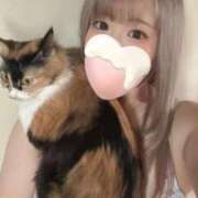 ヒメ日記 2024/12/25 13:53 投稿 ほたる ニューヨークニューヨーク