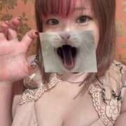 ヒメ日記 2025/02/27 20:16 投稿 ほたる ニューヨークニューヨーク