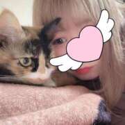 ヒメ日記 2025/04/24 18:03 投稿 ほたる ニューヨークニューヨーク