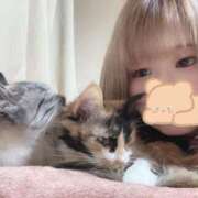 ヒメ日記 2025/05/23 13:55 投稿 ほたる ニューヨークニューヨーク