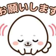 ヒメ日記 2025/06/25 12:45 投稿 ほたる ニューヨークニューヨーク