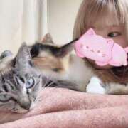 ヒメ日記 2025/07/12 12:40 投稿 ほたる ニューヨークニューヨーク