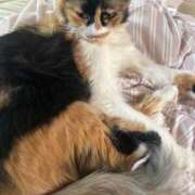 ヒメ日記 2025/08/23 12:58 投稿 ほたる ニューヨークニューヨーク