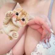 ヒメ日記 2026/03/24 13:36 投稿 ほたる ニューヨークニューヨーク