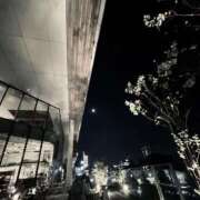 ヒメ日記 2025/04/21 12:26 投稿 多岐川 熟女の風俗最終章 新横浜店