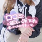 ヒメ日記 2025/07/10 08:49 投稿 ちなつ しゃんぜりぜ