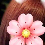 ヒメ日記 2025/03/15 20:02 投稿 まよ 鶯谷デリヘル倶楽部