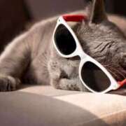 ヒメ日記 2025/06/06 18:51 投稿 結梨(ゆうり) 渋谷蘭の会