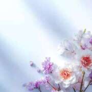 ヒメ日記 2026/03/12 14:15 投稿 結梨(ゆうり) 渋谷蘭の会