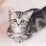 ヒメ日記 2026/03/13 19:55 投稿 結梨(ゆうり) 渋谷蘭の会