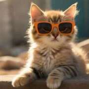 ヒメ日記 2026/03/13 21:58 投稿 結梨(ゆうり) 渋谷蘭の会