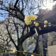 ヒメ日記 2025/02/19 10:23 投稿 結城　ゆうき 三丁目の奥様（東京ハレ系）