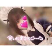 ヒメ日記 2024/12/18 17:04 投稿 すず フォーチュン