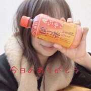 ヒメ日記 2025/03/08 16:28 投稿 板倉かおる 松戸人妻花壇