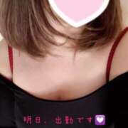 ヒメ日記 2025/03/14 22:15 投稿 板倉かおる 松戸人妻花壇