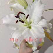 ヒメ日記 2025/04/14 18:48 投稿 板倉かおる 松戸人妻花壇