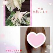 ヒメ日記 2025/04/23 19:36 投稿 板倉かおる 松戸人妻花壇