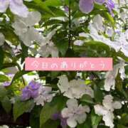 ヒメ日記 2025/05/17 22:01 投稿 板倉かおる 松戸人妻花壇