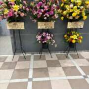 ヒメ日記 2024/12/14 21:55 投稿 ユリカ EN