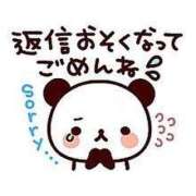 ヒメ日記 2024/12/17 22:33 投稿 ユリカ EN